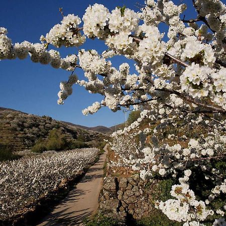 Casa Rural Arbequina, Refugio De Primavera Casas del Monte 외부 사진