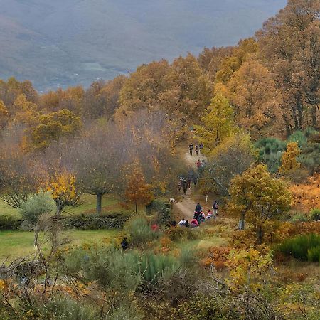 Casa Rural Arbequina, Refugio De Primavera Casas del Monte 외부 사진