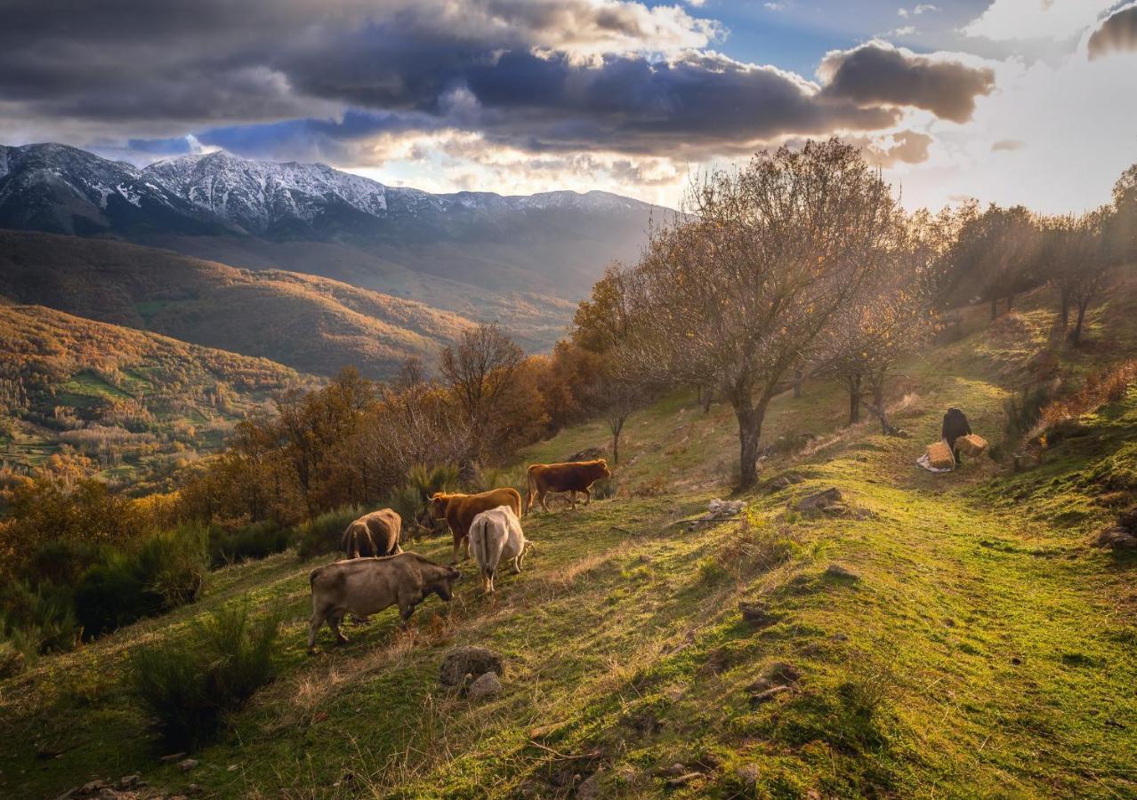 Casa Rural Arbequina, Refugio De Primavera Casas del Monte 외부 사진