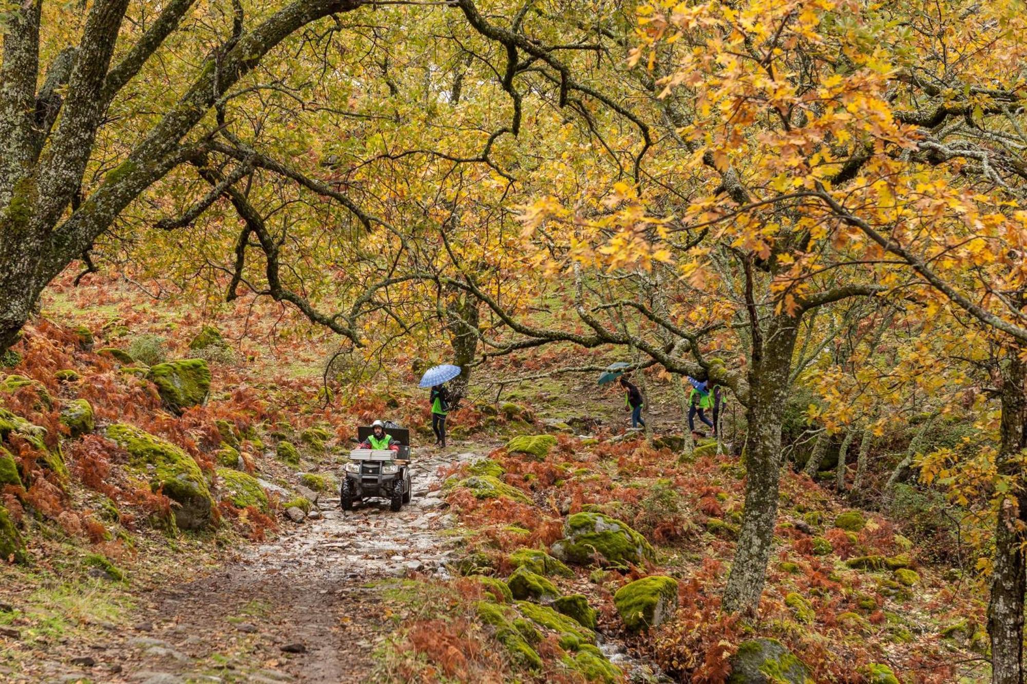 Casa Rural Arbequina, Refugio De Primavera Casas del Monte 외부 사진