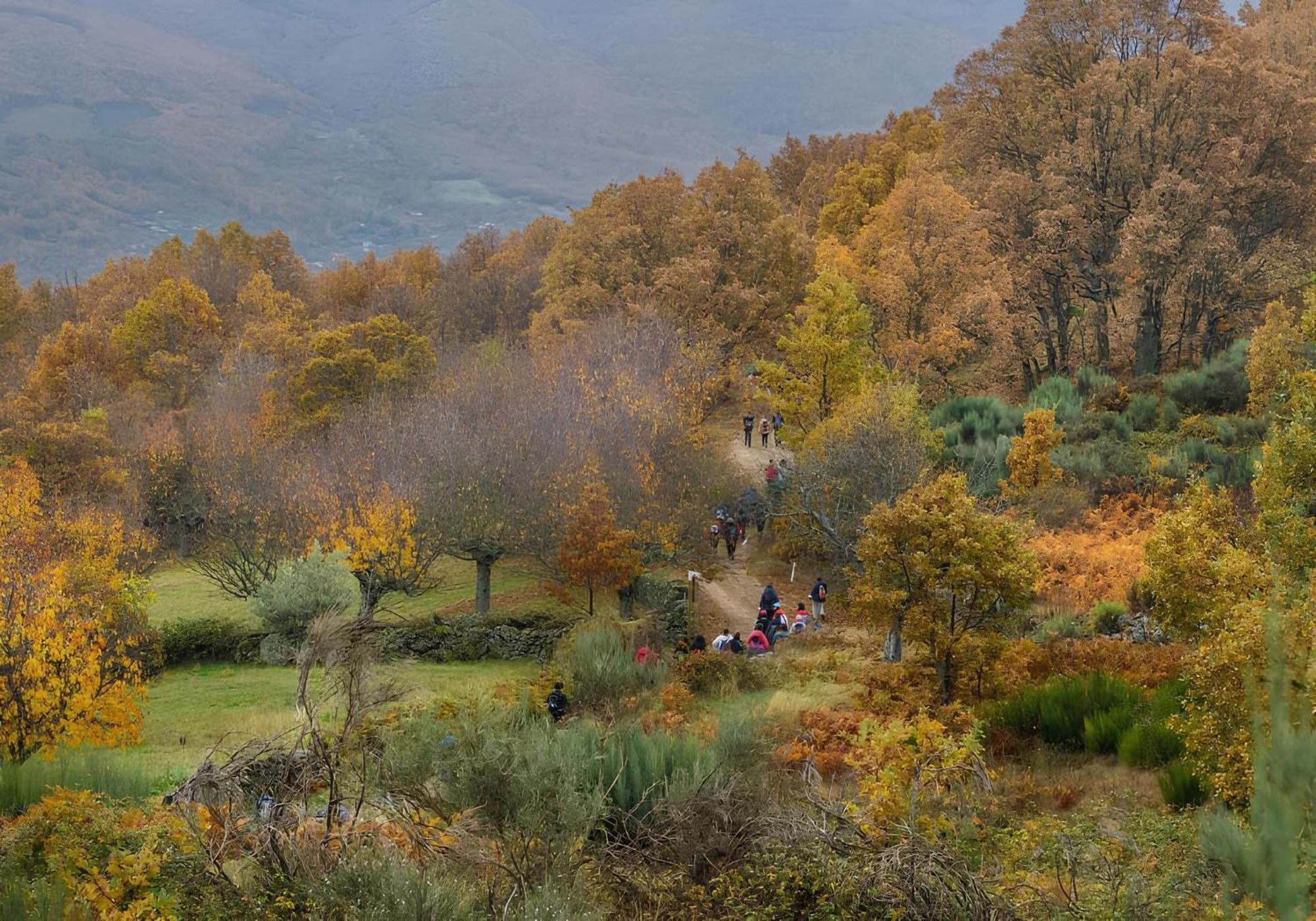 Casa Rural Arbequina, Refugio De Primavera Casas del Monte 외부 사진